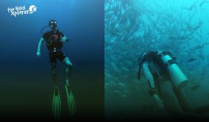 panduan lengkap untuk start belajar divecourse