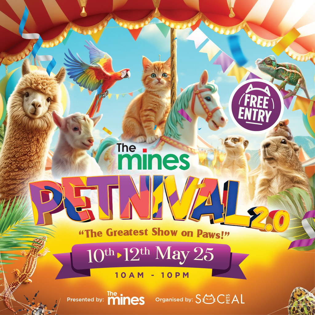 the mines petnival 2025