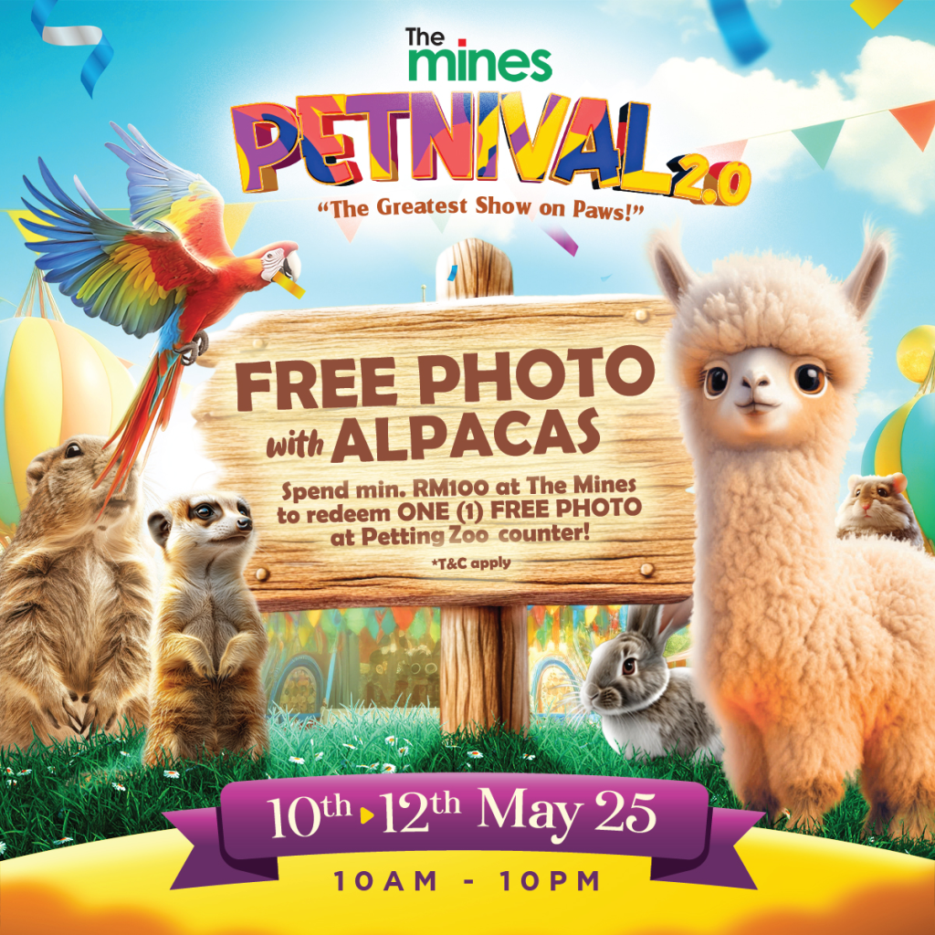 photo with alpacas