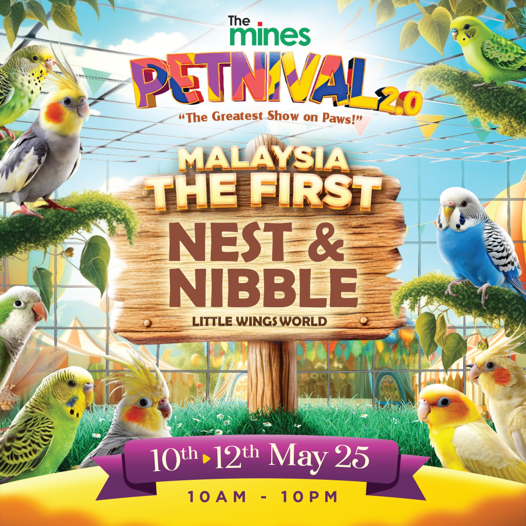 nest & nibble the mines