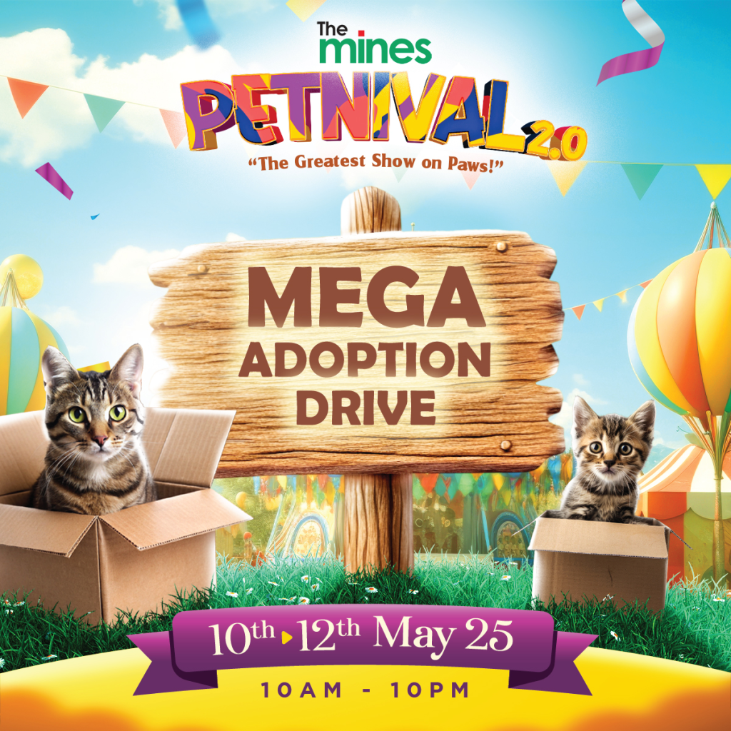 mega adoption drive
