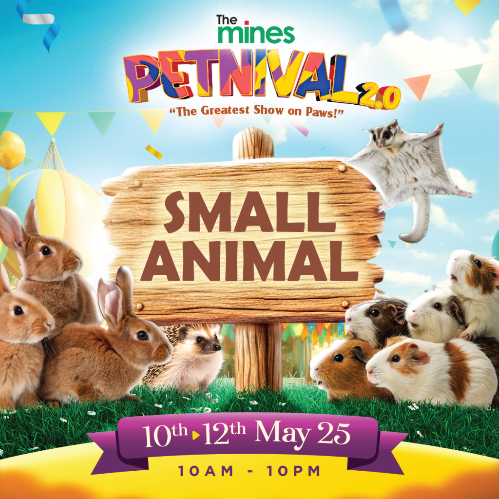 small animal in mall