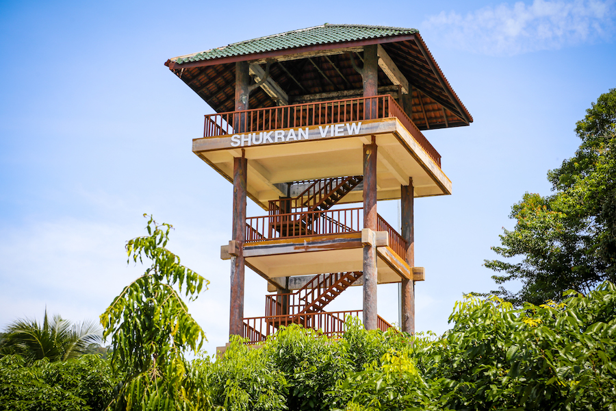 agrotek mardi mardi 5