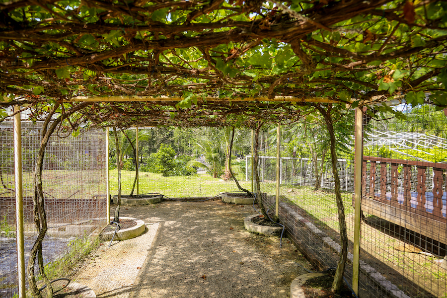 agroteknologi mardi 8