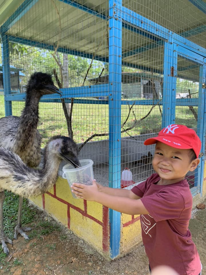 JOM BAWA ANAK-ANAK KE TAMAN HAIWAN MC AGROFARM SIMPANG RENGGAM!